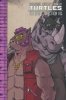 TEENAGE MUTANT NINJA TURTLES THE IDW COLLECTION VOL 08 TP [9798887243146]